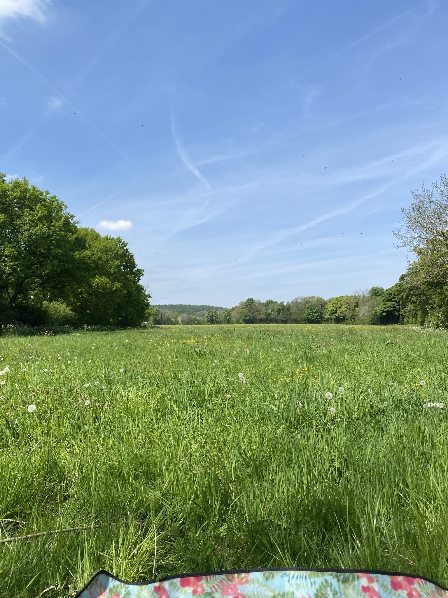Terms and Conditions-Equipment Hire – Press Brook Park